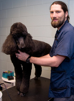 cumming, ga pet grooming