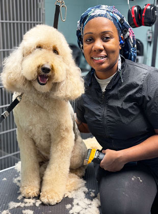 cumming, ga pet grooming