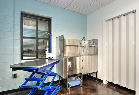 South Forsyth Animal Hospital Grooming Room