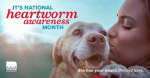 April is Heartworm Awareness Month