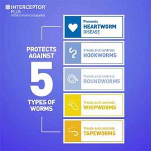 Heartworm disease is completely preventable