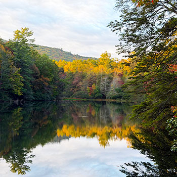 Hiking With Your Dog Safely This Fall