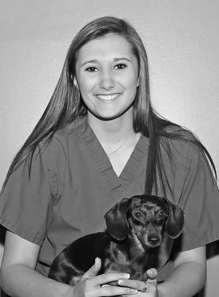 The staff at South Forsyth Animal Hospital